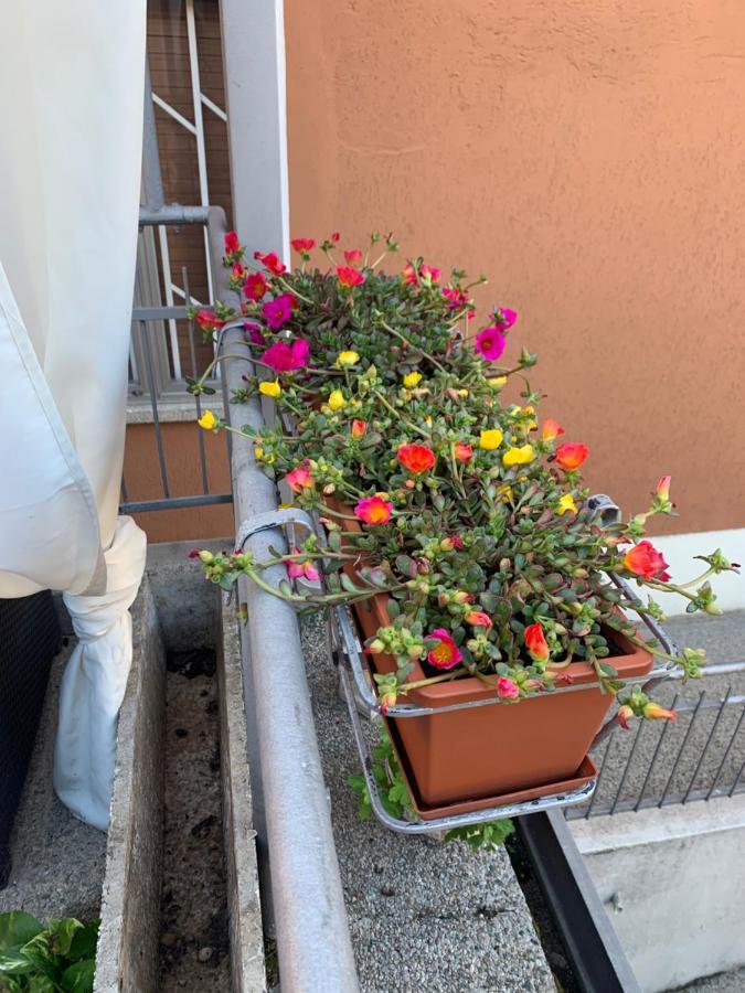 New Verona Business And Fun G B Rossi Friendly Екстериор снимка